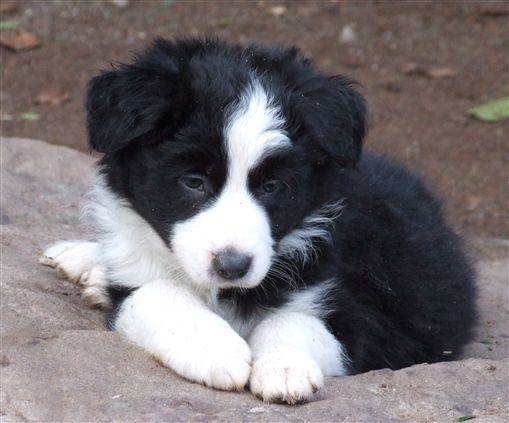 Click for large image