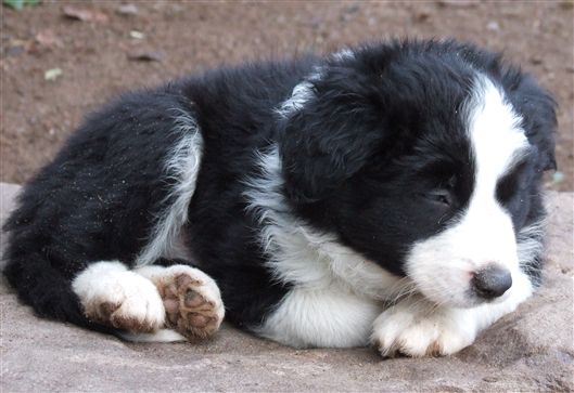 Click for large image