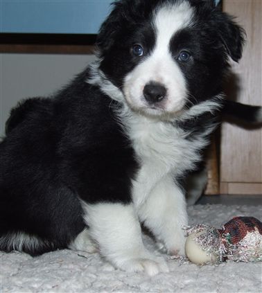 Click for large image