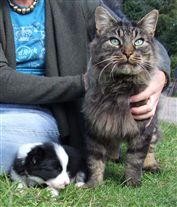 Click for large image