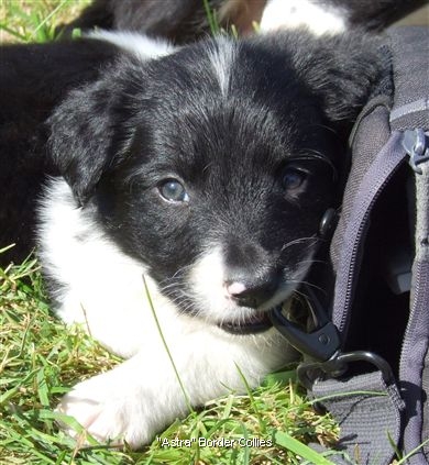 Click for large image