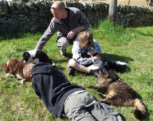 Click for large image