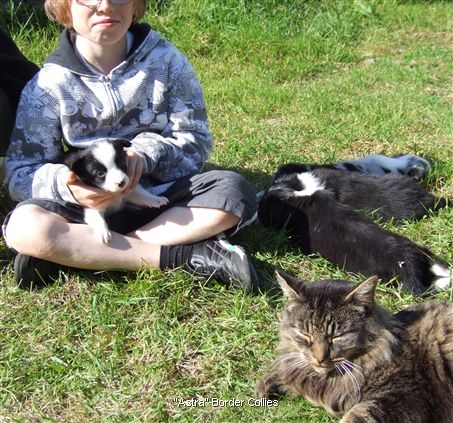 Click for large image