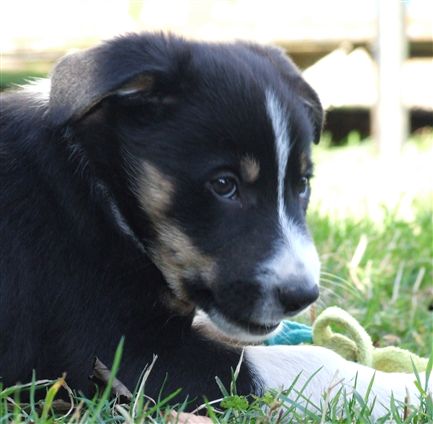 Click for large image