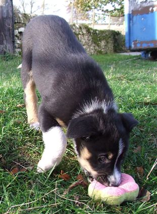 Click for large image