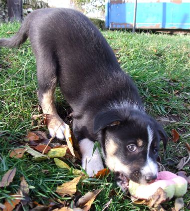 Click for large image