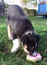 Click for large image