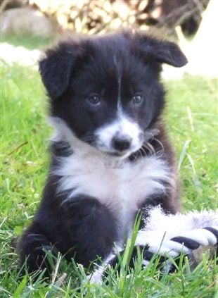 Click for large image