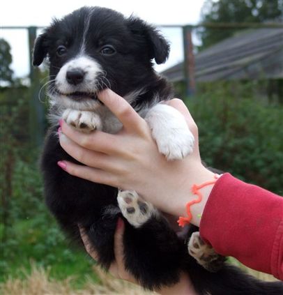 Click for large image