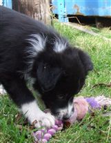 Click for large image